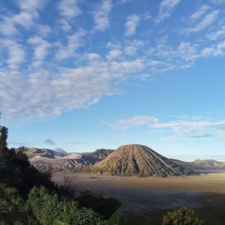 Tengger Indah Seruni Bromo Probolinggo Exterior foto